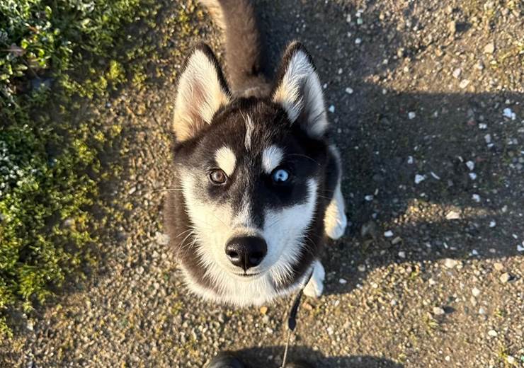 WhatsApp Image 2026-02-03 at 18.06.56