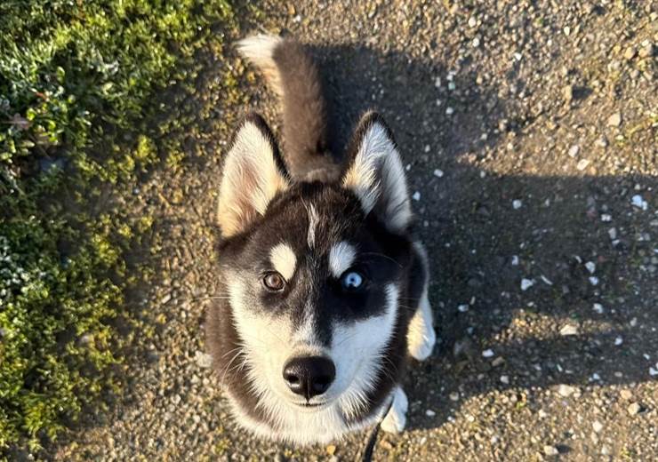 WhatsApp Image 2026-02-03 at 18.06.56