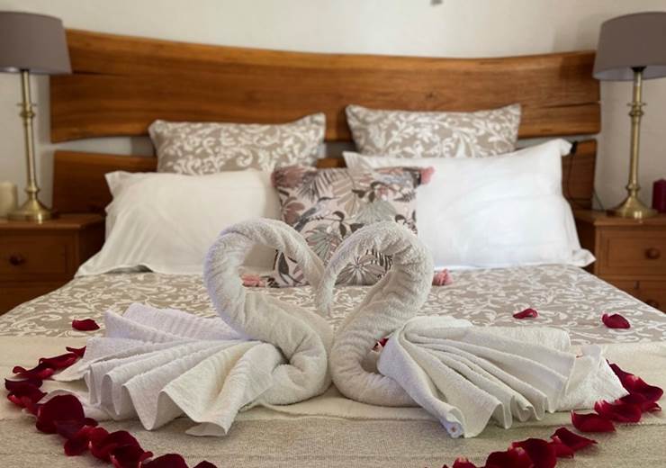 1046B404-09EC-4222-97EA-7718300D46EB_1_105_c