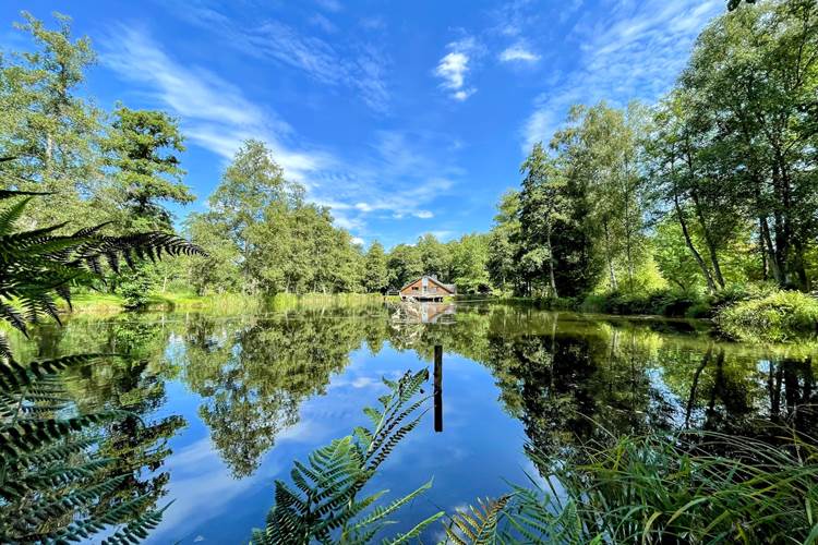 brasovert_gite_ardenne42