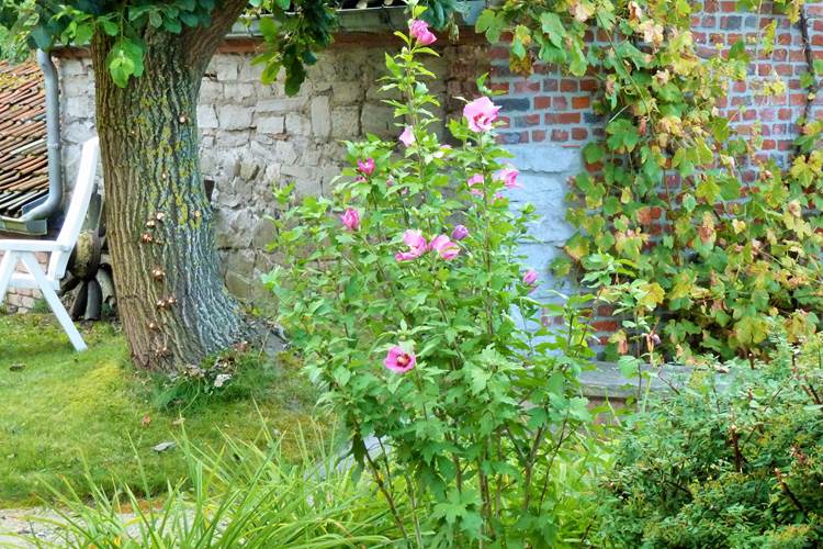 Parterre devant le gîte