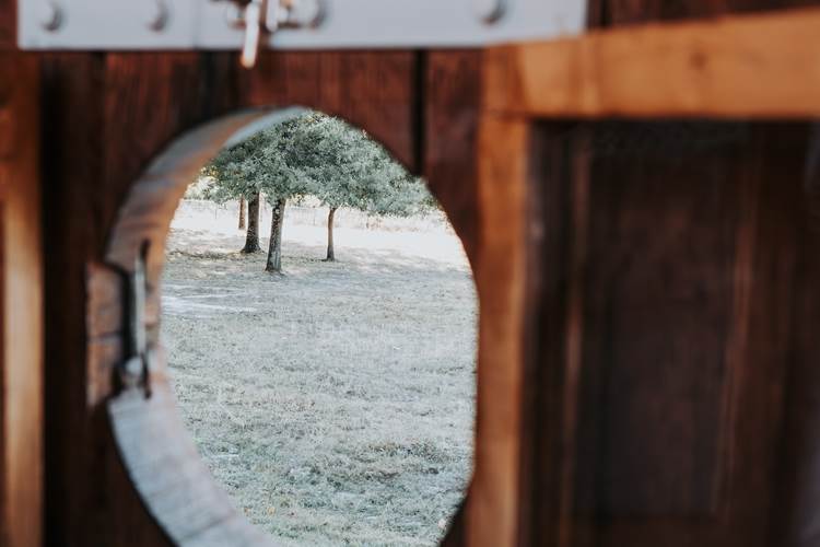 Apprécier la nature