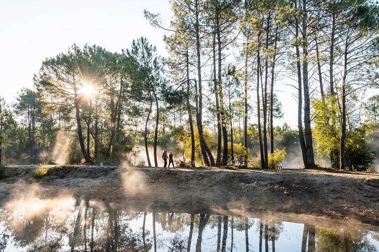Lanton, la déconnection