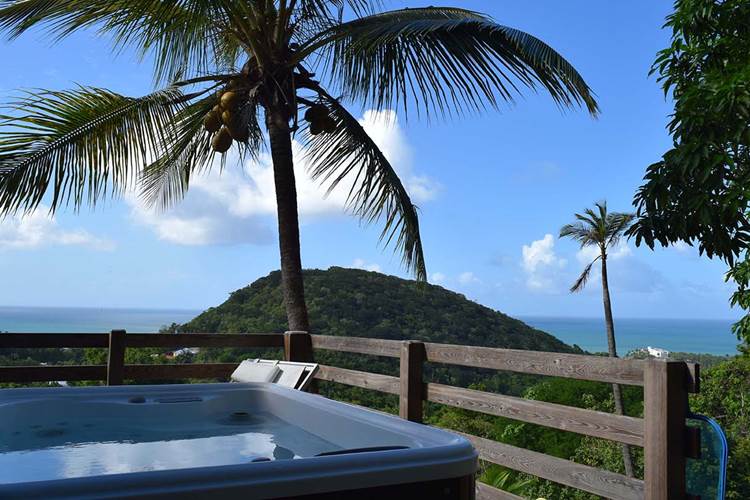 habitation-pineau-241216 (27)