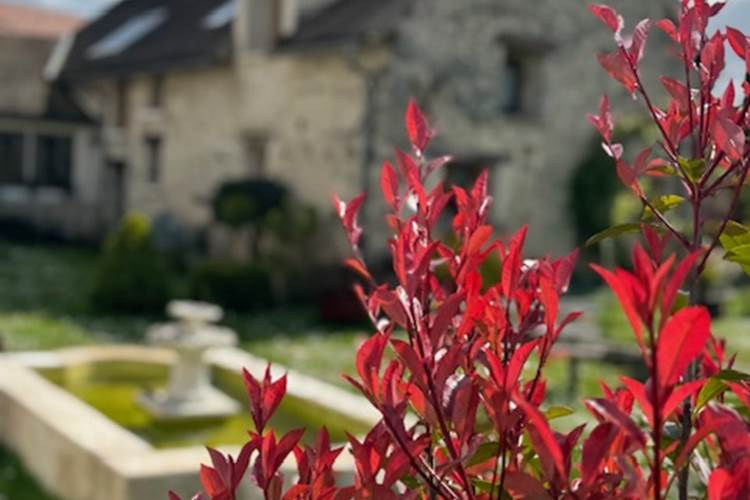jardin
