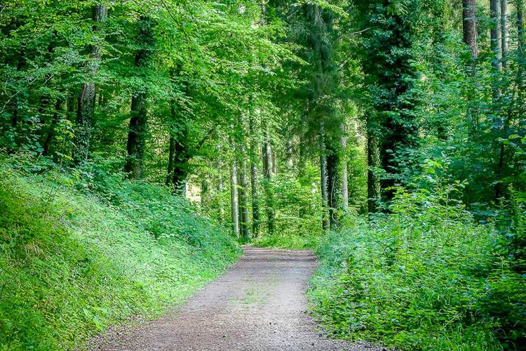Chemin de promenade Vallée de Rabais