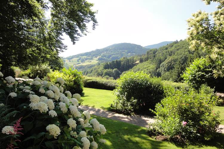 vue sur les Vosges