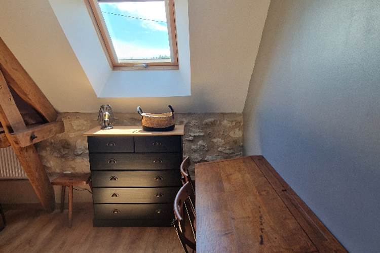 coin bureau 