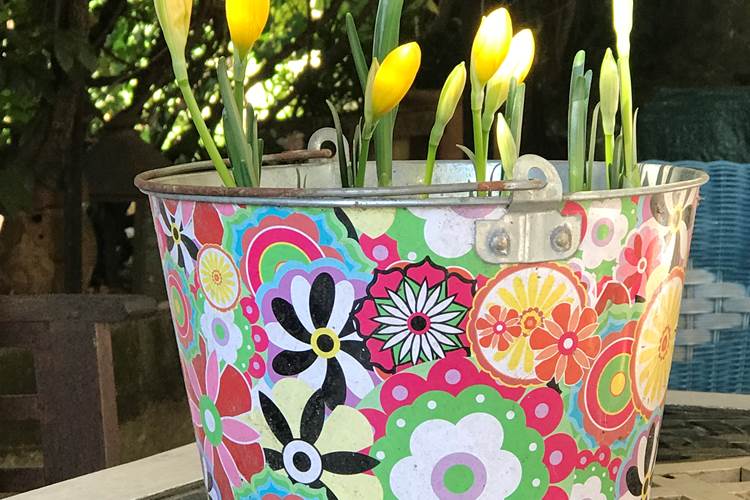 Chambre Mont Ventoux