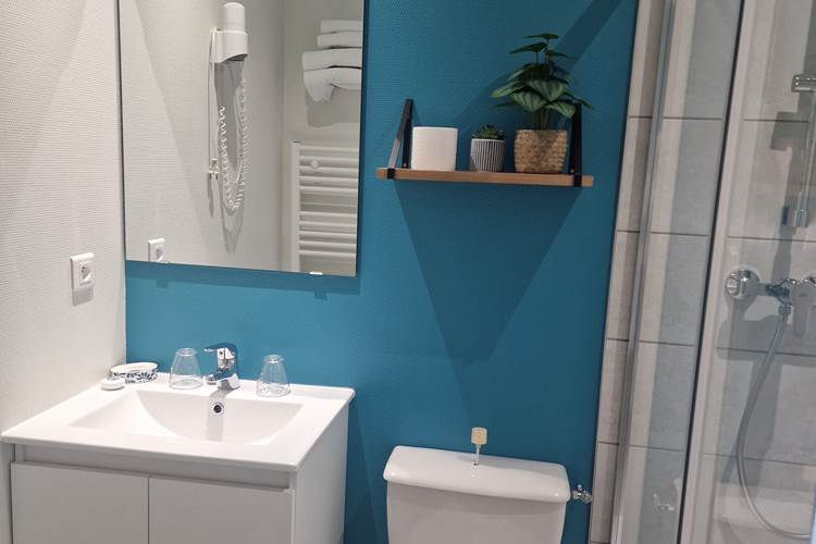 salle d'eau privative- locaplage