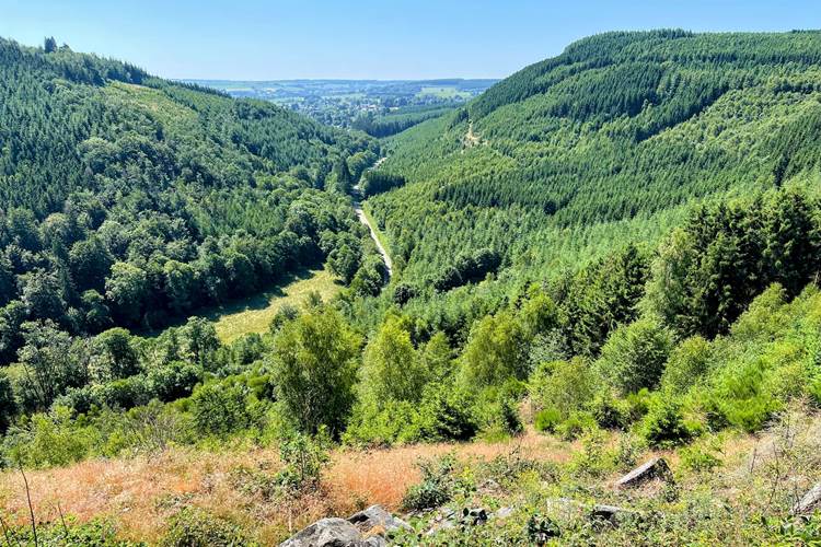 brasovert_gite_ardenne41
