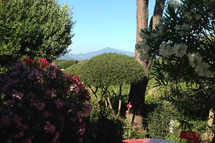 Gîte Le Levant - Vue sur le Mont Ventoux