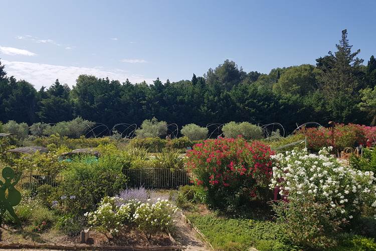 chambre cosy -vue jardin