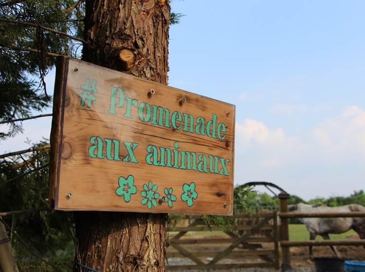 gîte de groupe à la campagne avec animaux