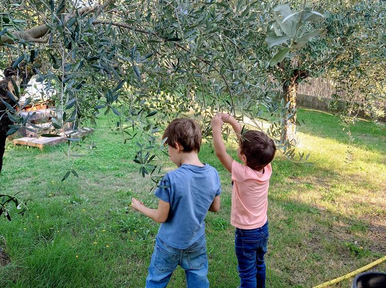 Cigaleo chambre d'hôtes Carnoules Var