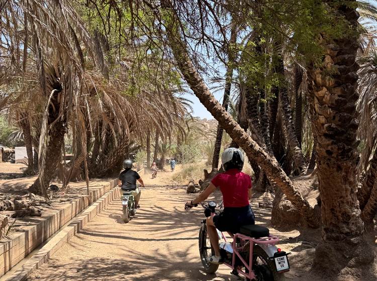 guided tours essaouira