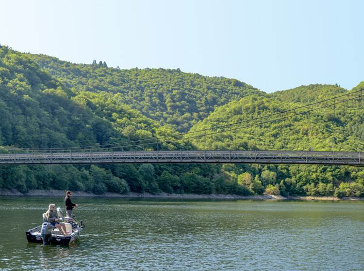 Pêche aux carnassiers sur les barrages de l'Aigle et Bort-les-Orgues