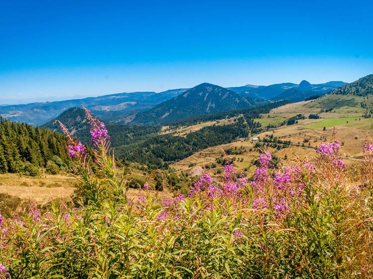 Le Plateau de Mezenc