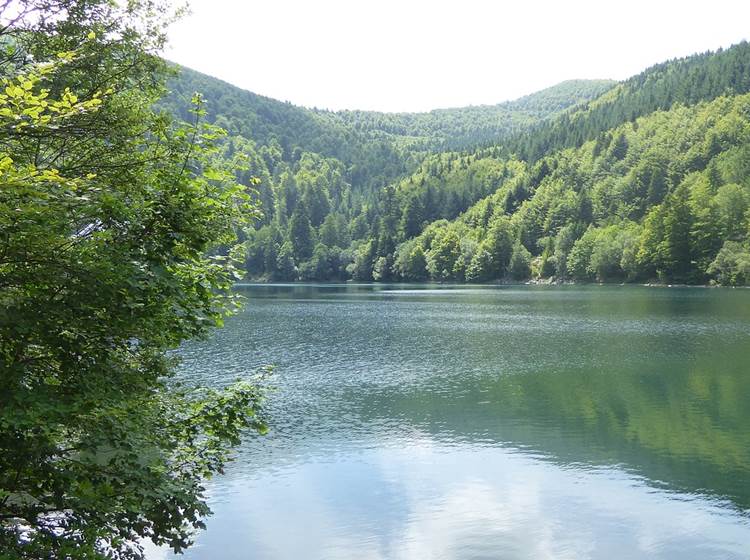 Lac des Vosges