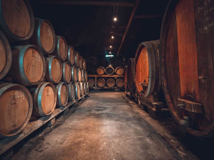 Domaine baud - Photos cave à blancs