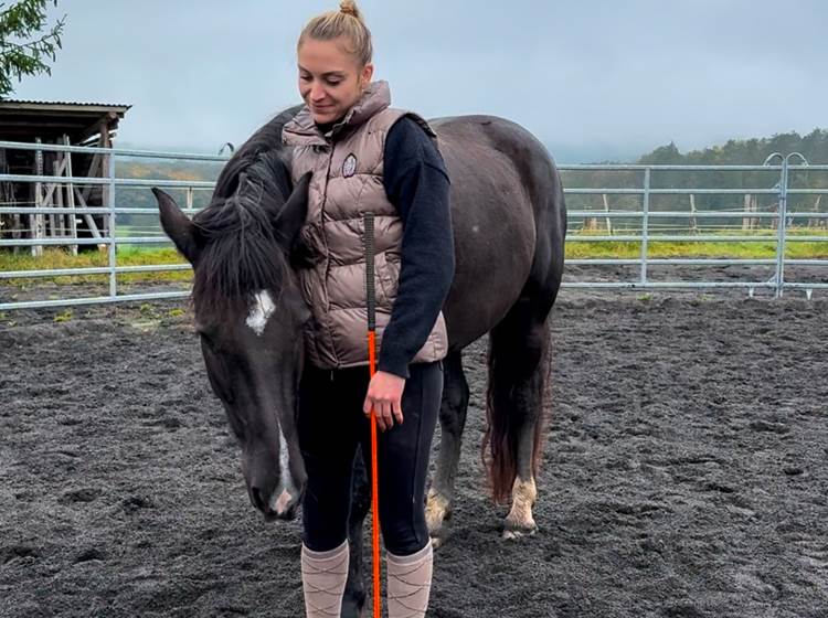 Travailler en confiance et en respect mutuel : ma passion pour l'équitation éthologique