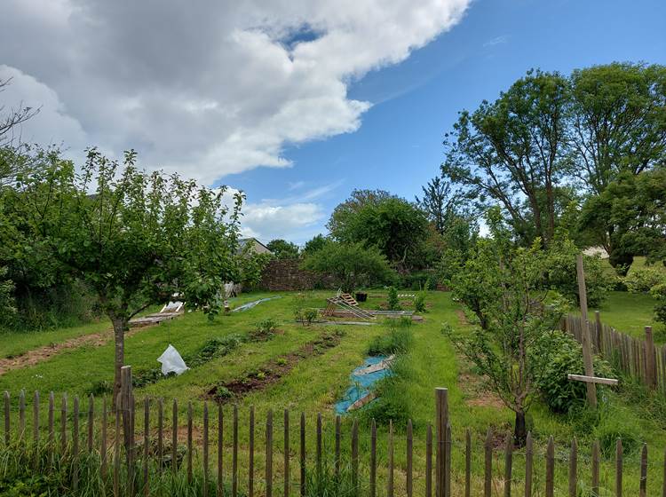 Le potager en permaculture