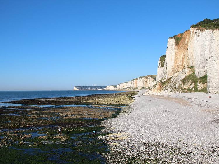 La Normandie Vue D ici La Nouvelle Criqueboise CRIQUEBEUF EN CAUX La Normandie Vue D ici La Nouvelle Criqueboise CRIQUEBEUF EN CAUX