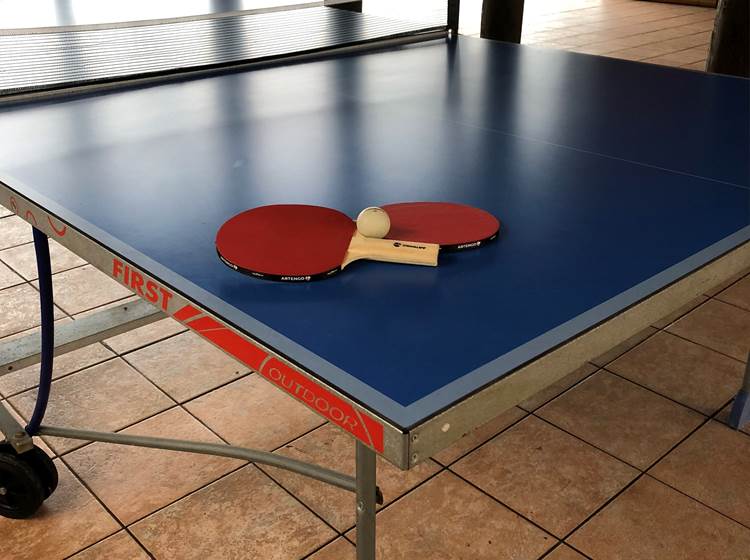 Ping-Pong, on joue en solo ou en double?