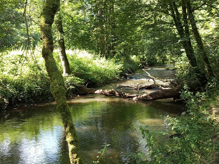 Les balades guidées du parc ESEM