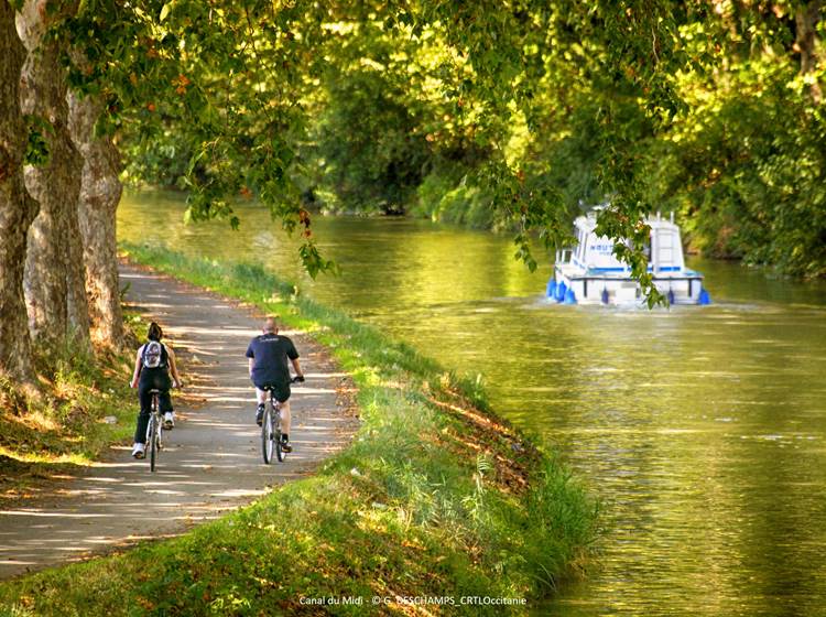 Domaine de Lanis Chambres hôtes Castelnaudary - en vélo