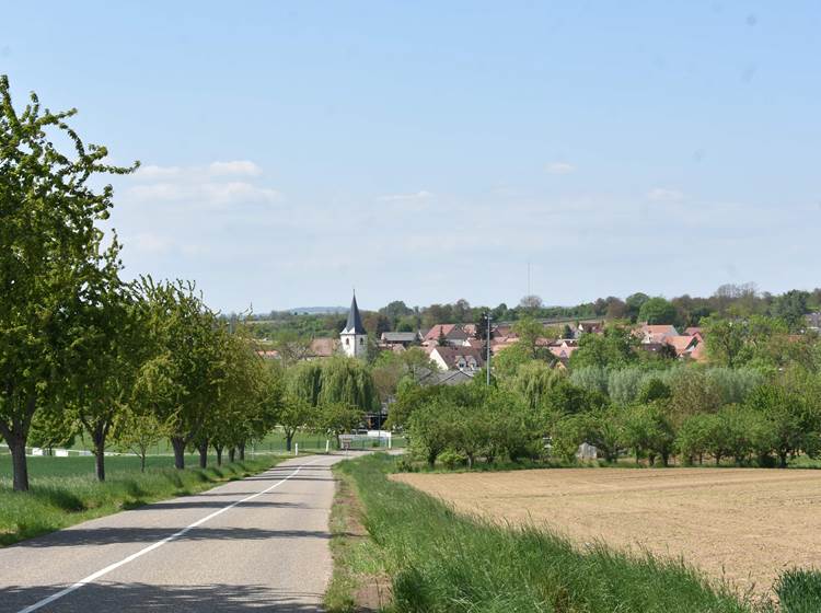 Mon village avec vue sur le château