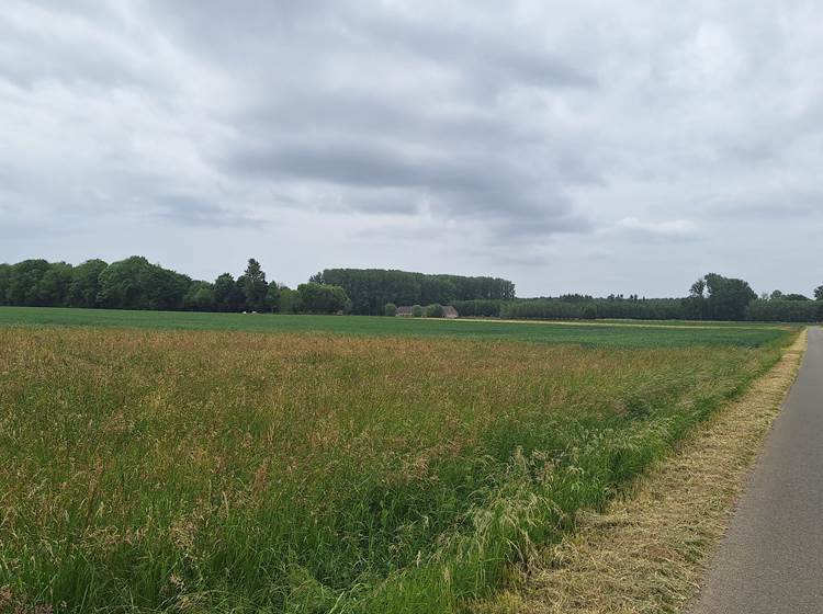 Au fil de la promenade