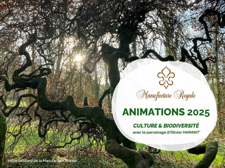 Culture & Biodiversité 2025 - Manufacture Royale de Bains