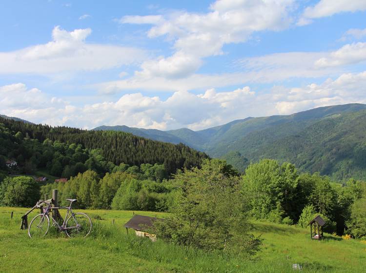 la vue sur le massif des Vosges depuis notre hotel