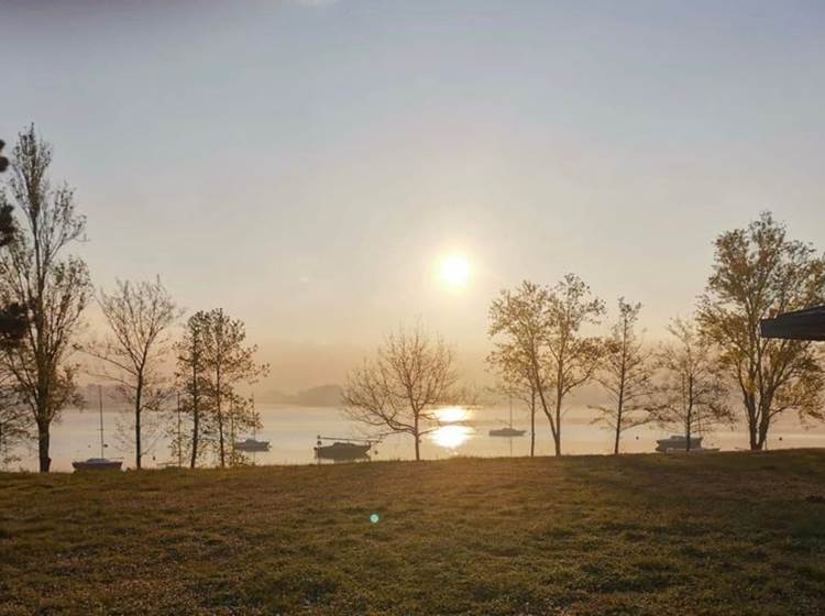 Lever de soleil sur le plan d'eau