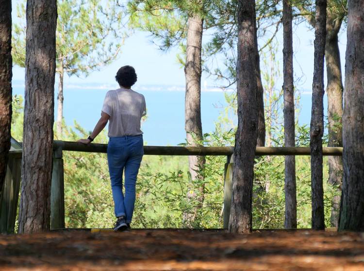 point de vue buzelière saint jean de monts vendée