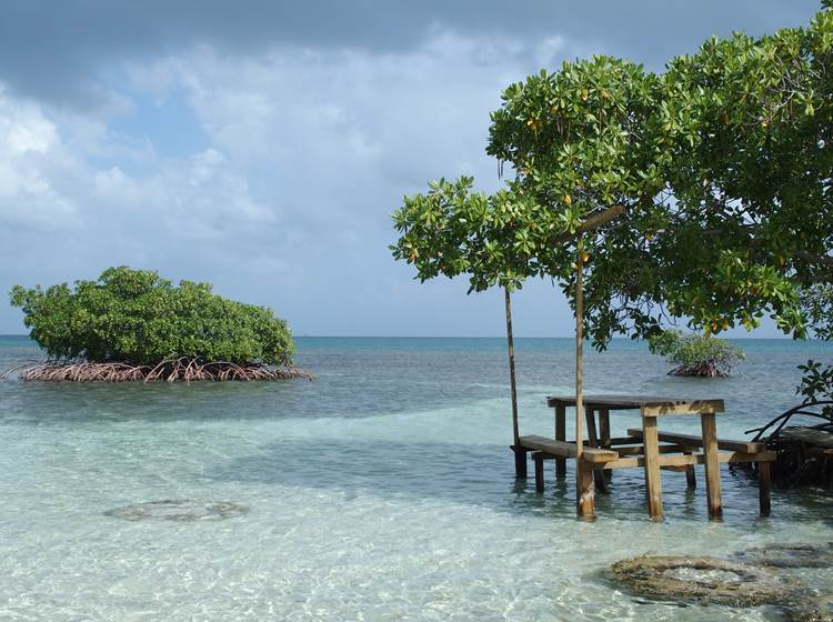 Guadeloupe-Découverte-Koroko