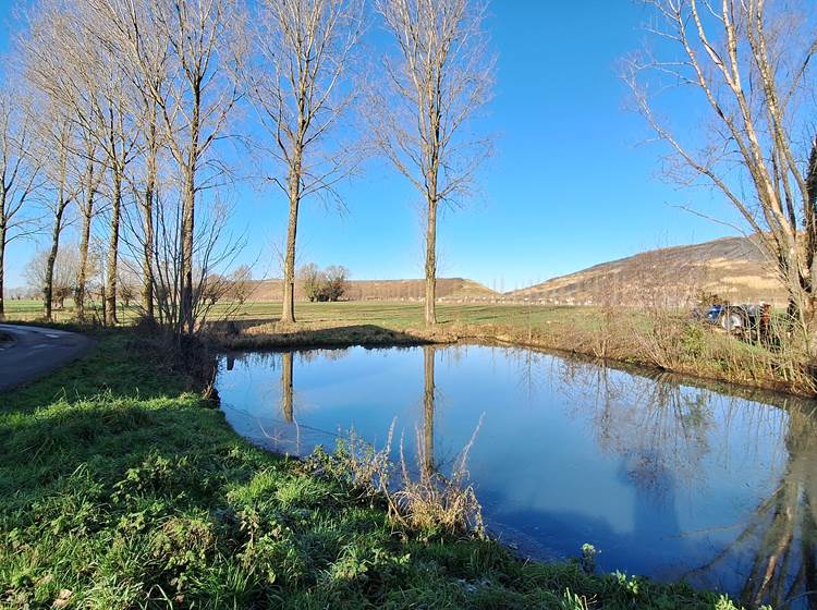 Etang près la ferme