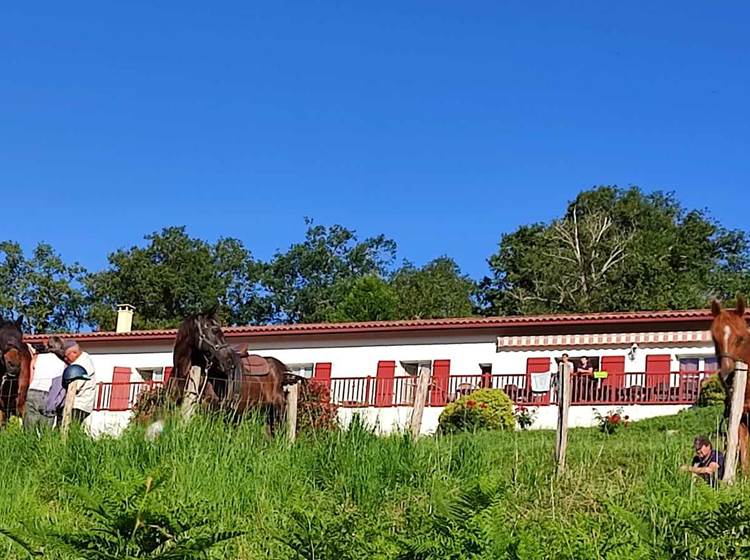 enclos cavaliers tourisme pays basque chevaux