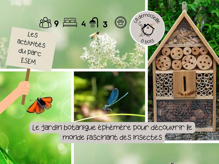les activités du parc ESEM