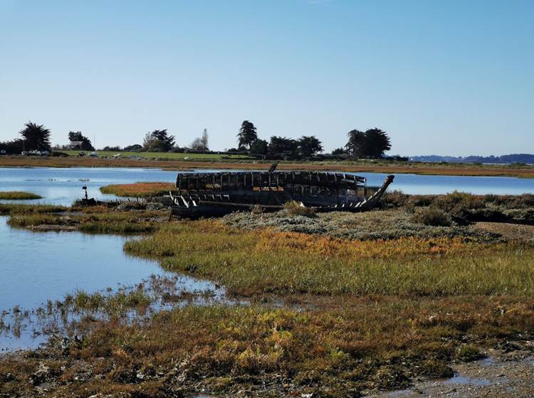 marais ile d'arz cimetière bateau morbihan bretagne maison d'hôtes bien être séjour repos ressourcement détente anti stress cure ayurvédique spa