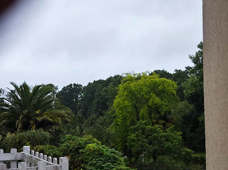 le-sherman-balcon-vue-verdure-couleur-fleur-arbre-secteur-américain