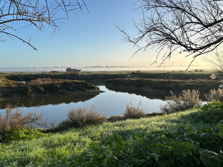 Balade dans les marais salants au départ de Maison Ginette