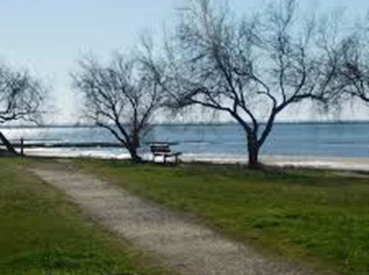 sentier du litoral-Locaplage-Lanton-Bassin d'Arcachon