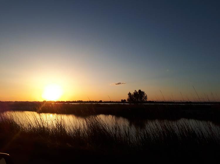 Le couché du soleil en Camargue