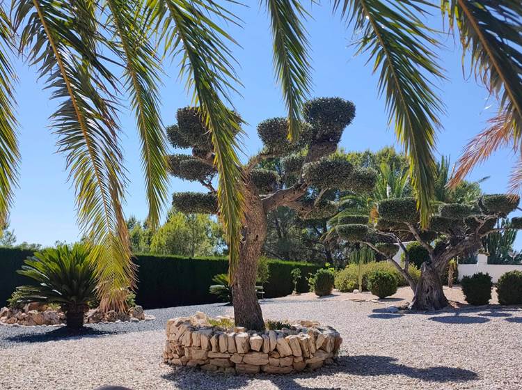 Jardin