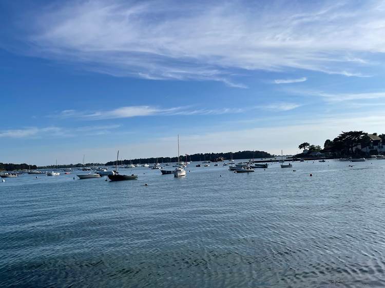 Bateaux sur le Golfe du Morbihan