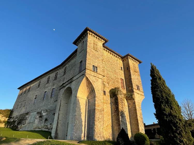 Château de Lavardens - superbe vue sur les Pyrénées et la campagne du Gers