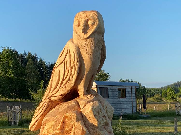 Les terres de la chouette, la nouvelle gardienne des lieux