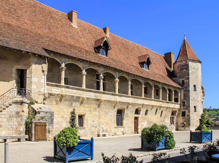 Chateau de Nerac